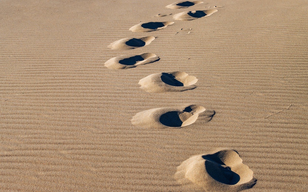spuren.suchen ... und hinterlassen