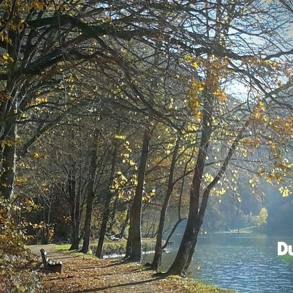 Trauerbegleitung