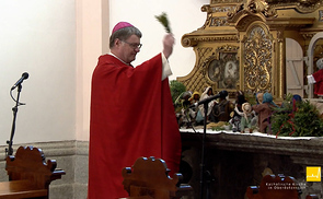 Bischof Manfred Scheuer segnete die Palmbuschen. Links auf dem Bild: Biblische Figuren, die das Geschehen des Palmsonntags verdeutlichen. 