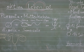Sexualworkshops