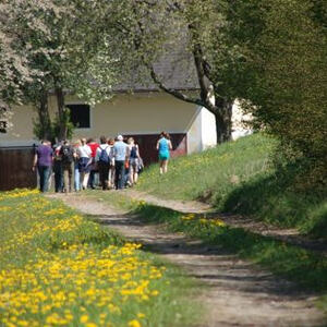 Pilgerwanderung