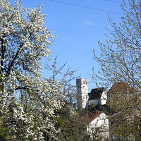 Pfarrgemeinderat